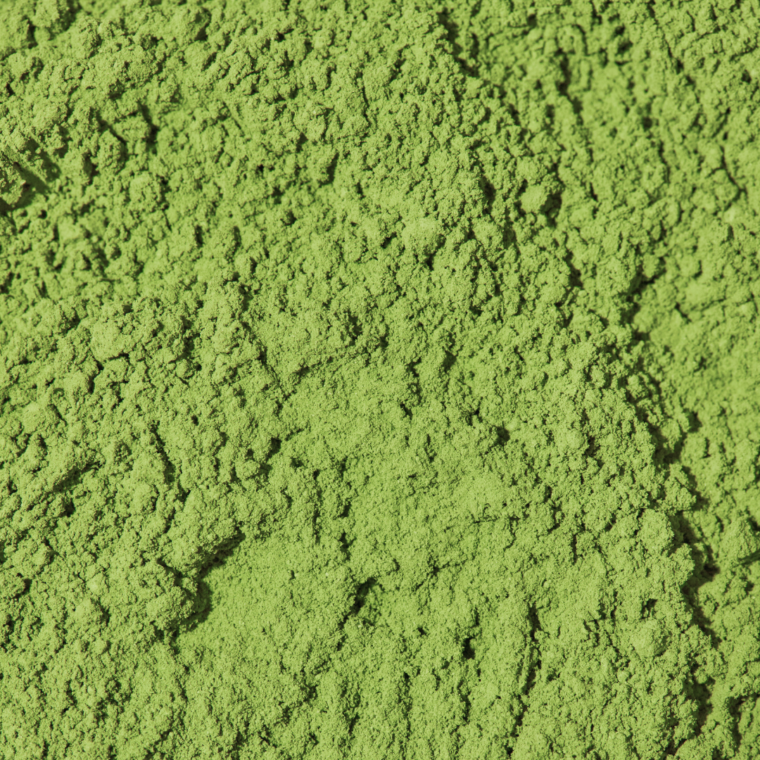 Okumidori - Organic Ceremonial Grade Matcha