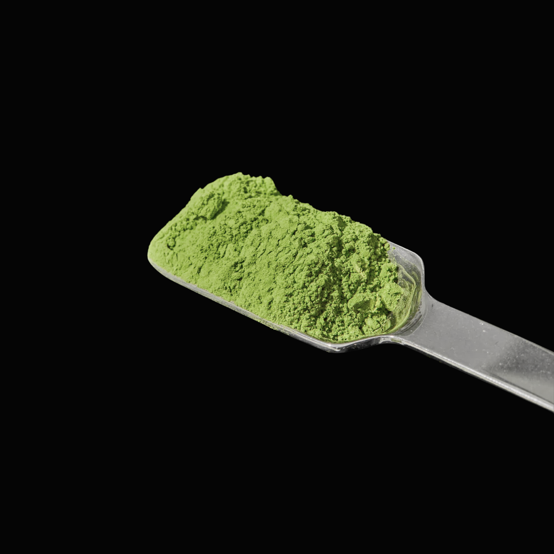 Okumidori - Organic Ceremonial Grade Matcha