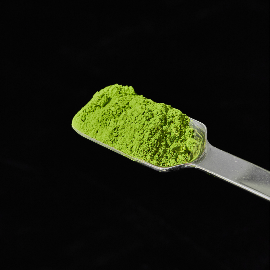 Shop Organic Matcha from Littlefoot Matcha