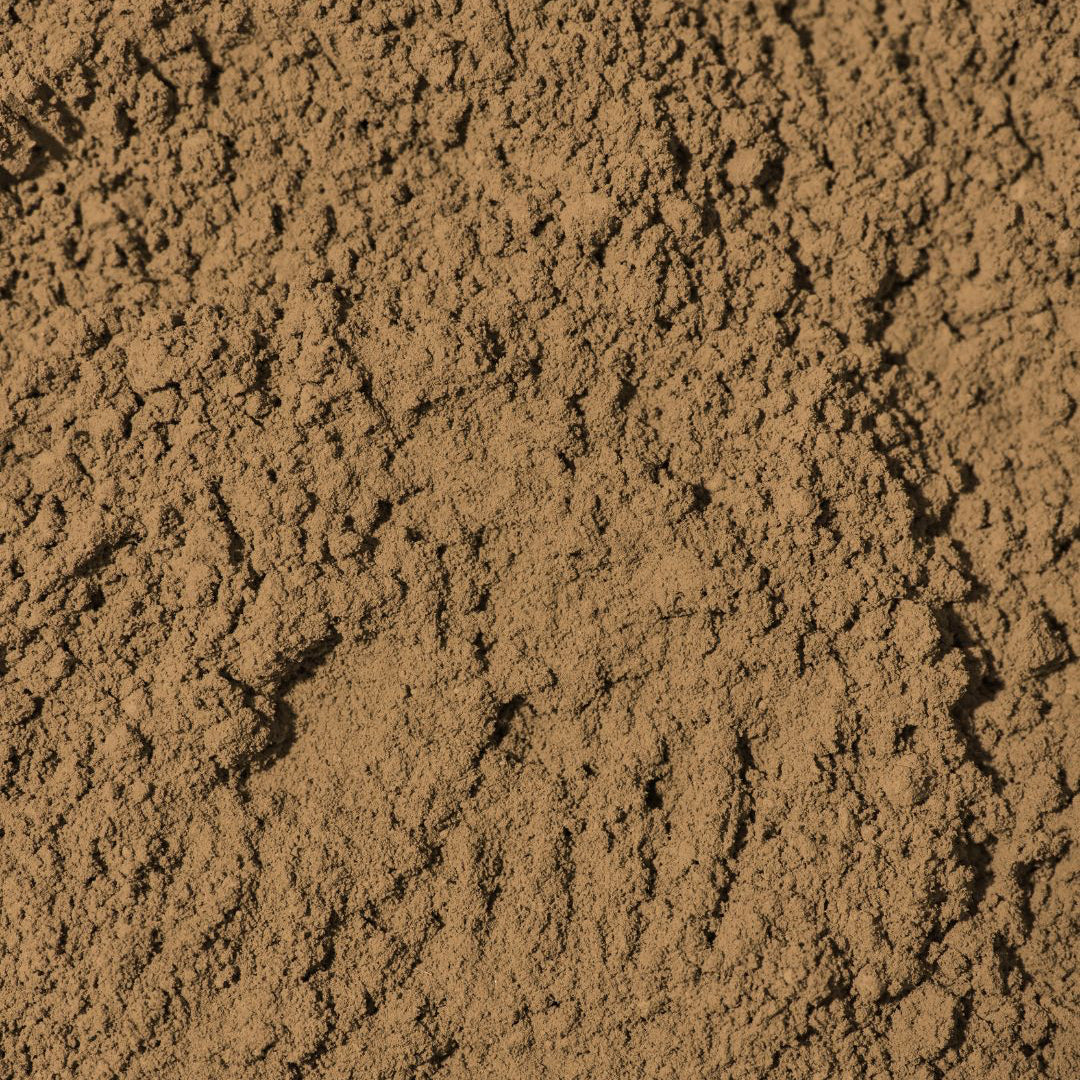 Hojicha