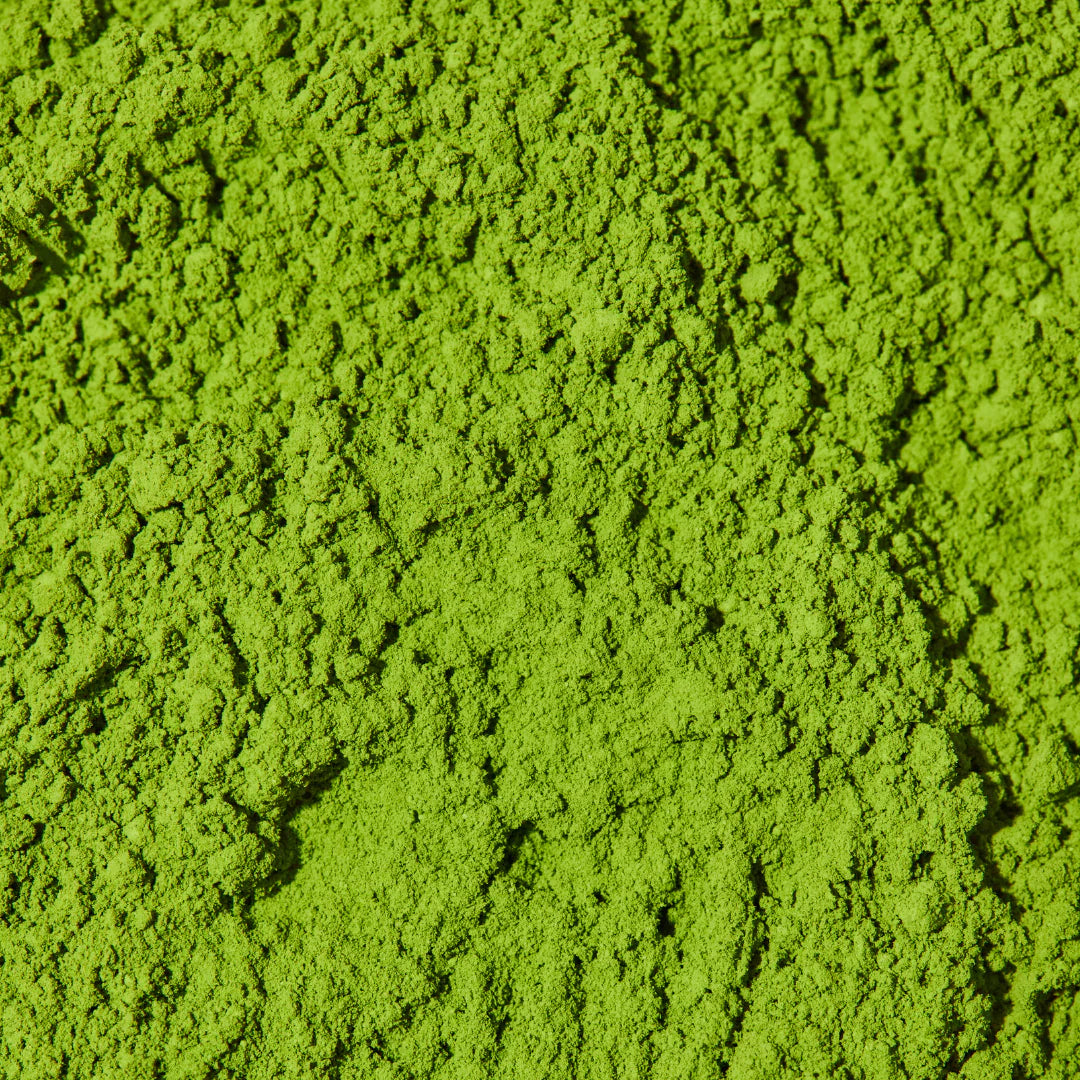 Birthday Blend - Ceremonial Grade Matcha